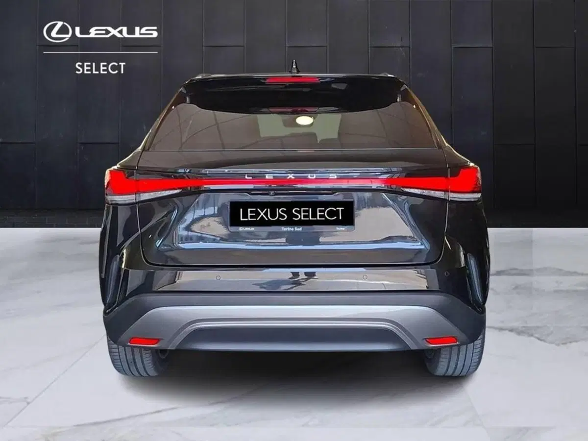 Lexus RX usata a Torino (5)