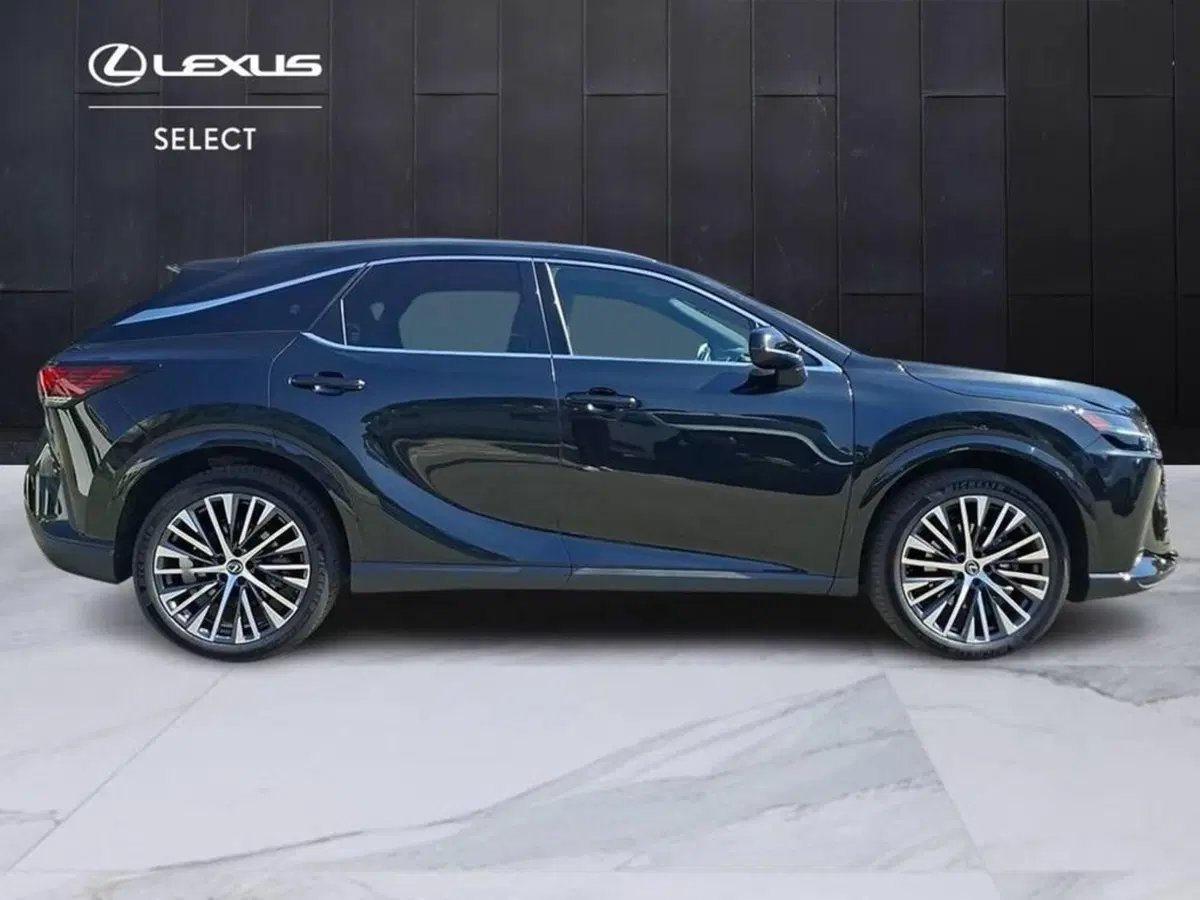 Lexus RX usata a Torino (6)