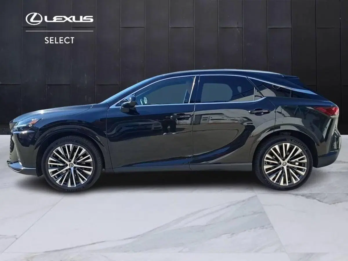 Lexus RX usata a Torino (7)