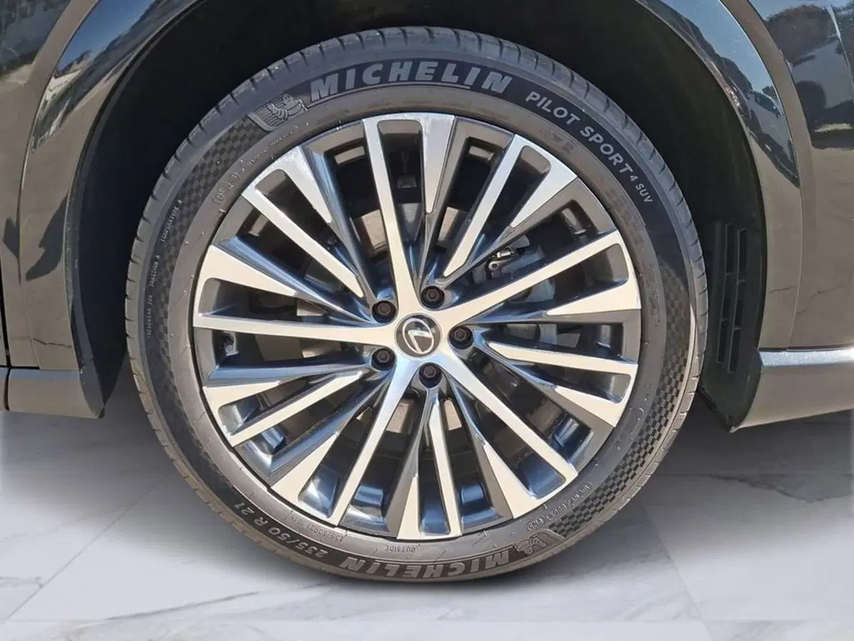 Lexus RX usata a Torino (8)