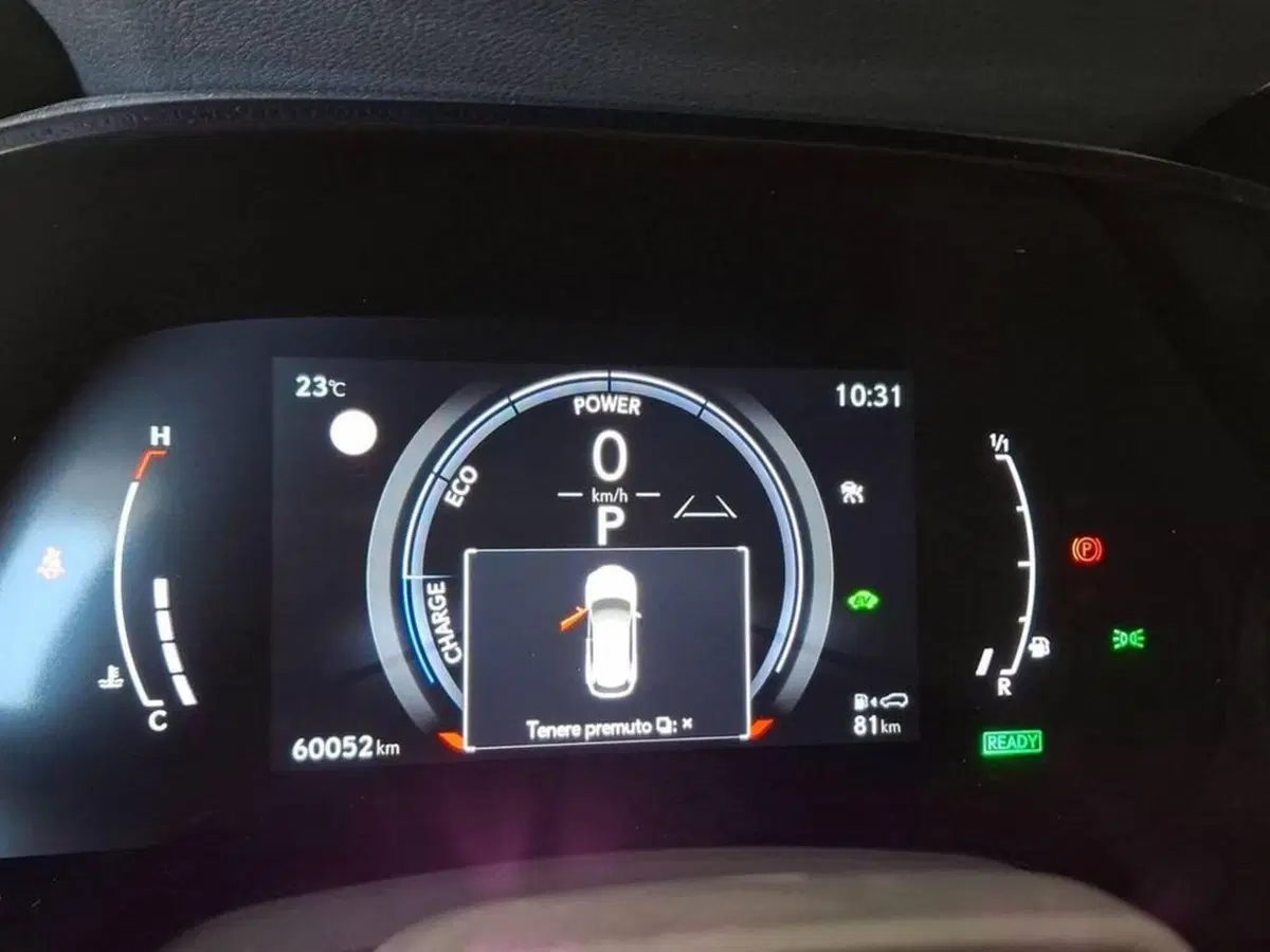 Lexus RX usata a Torino (9)