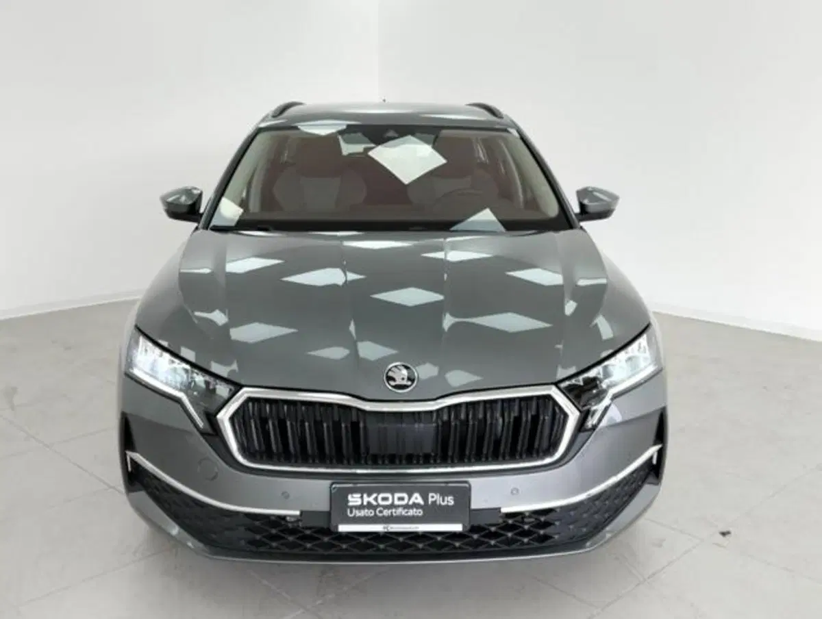 Skoda Octavia Station Wagon usata a Como (6)