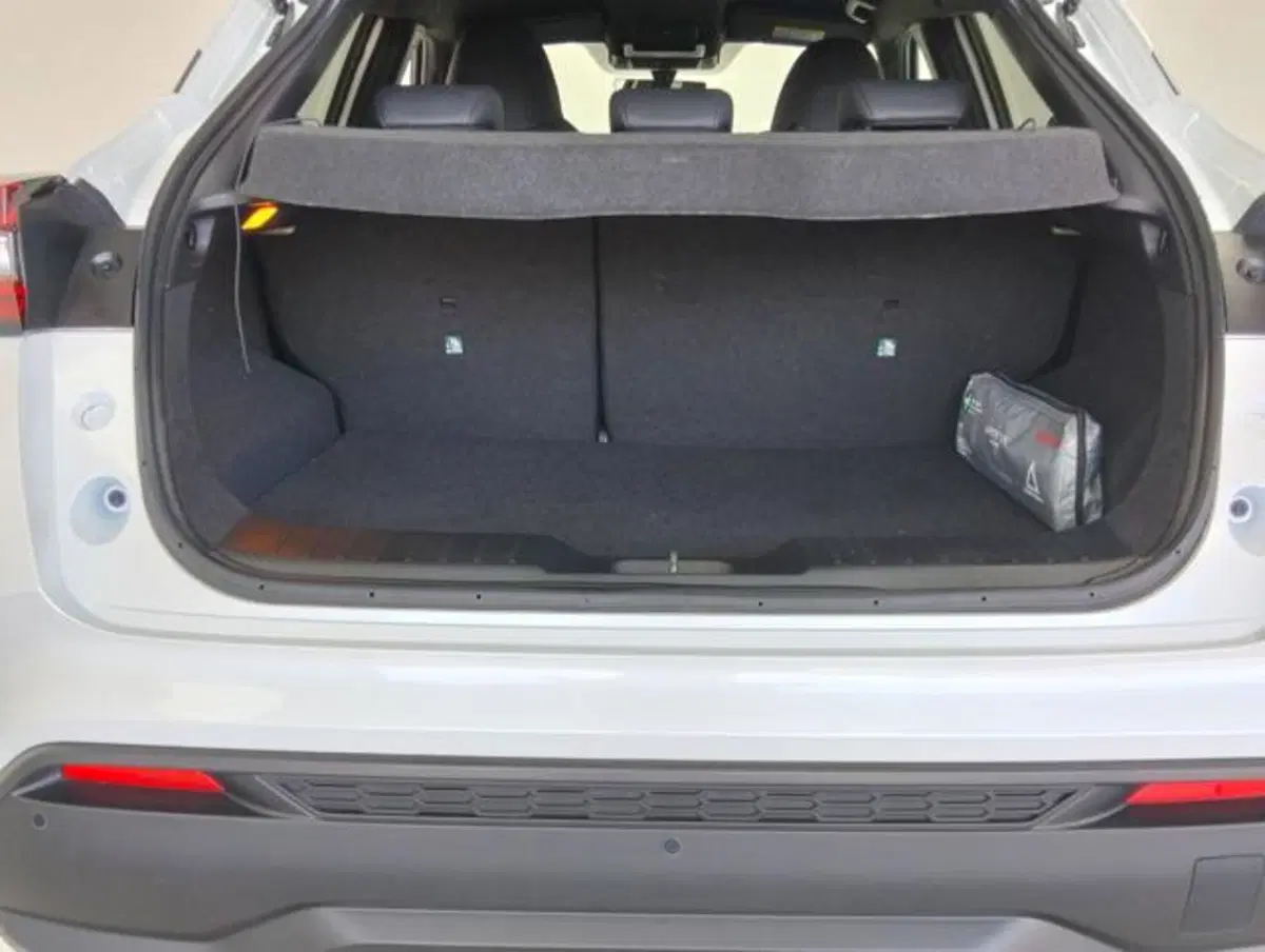 Nissan Juke usata a Como (14)