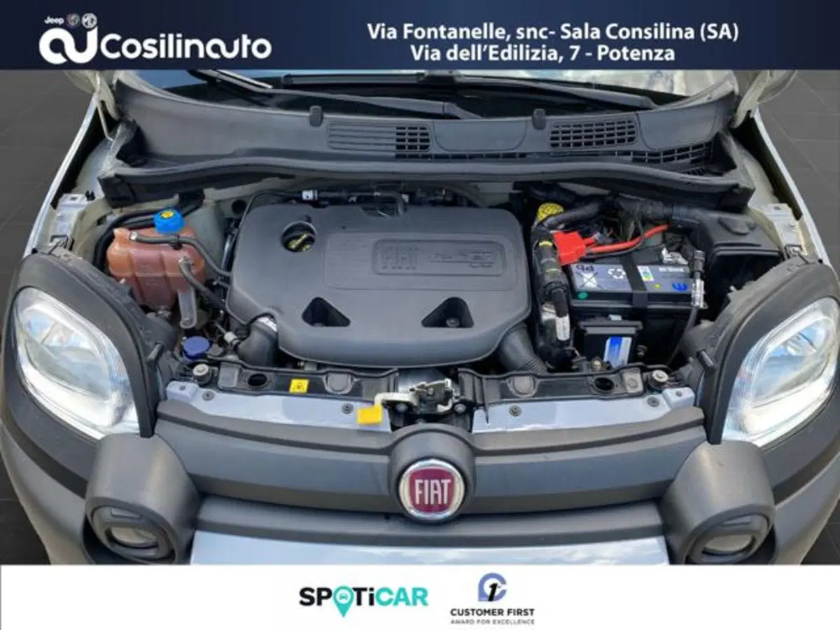 Fiat Panda Cross usata a Salerno (18)