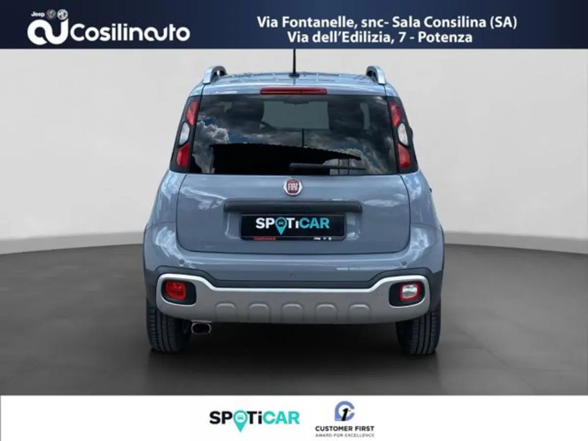 Fiat Panda Cross usata a Salerno (4)