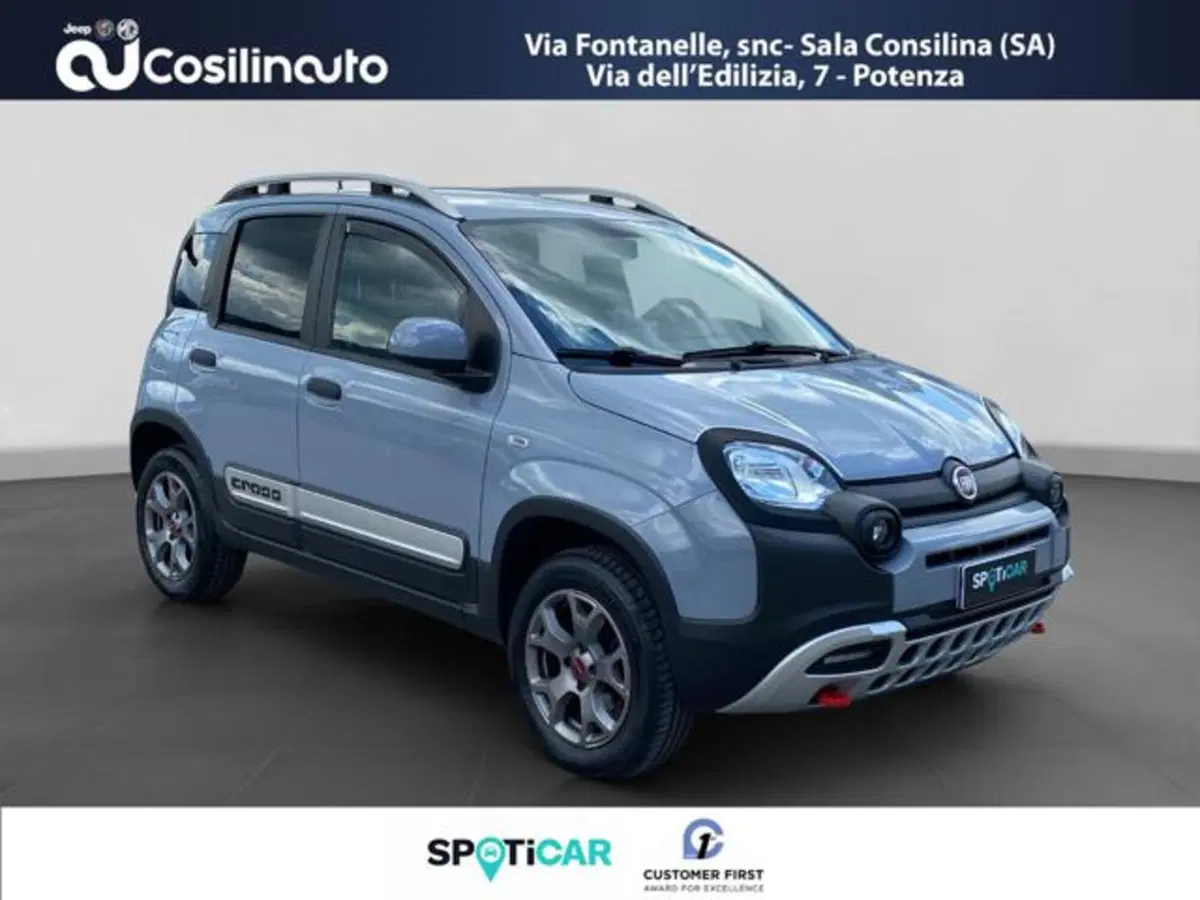 Fiat Panda Cross usata a Salerno (7)