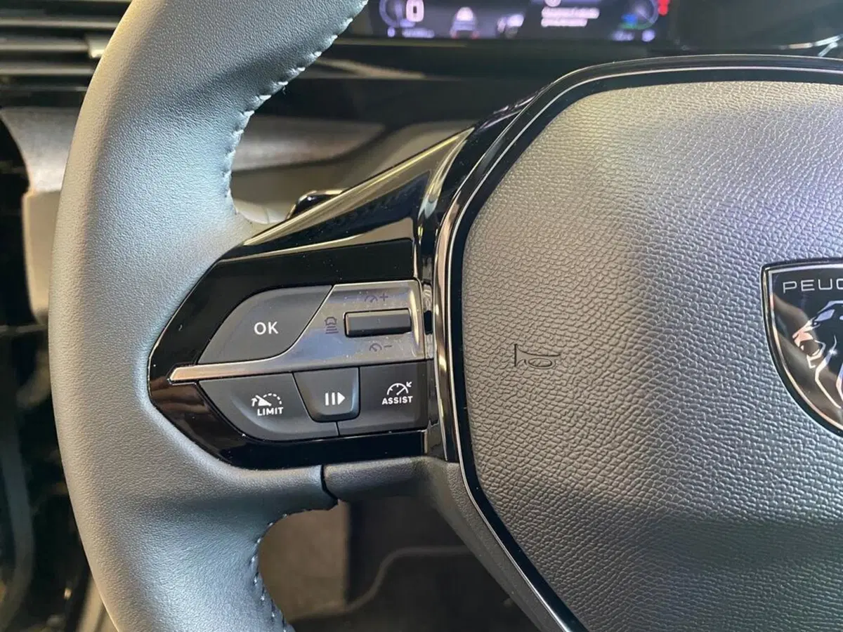 Peugeot 308 usata a Torino (13)