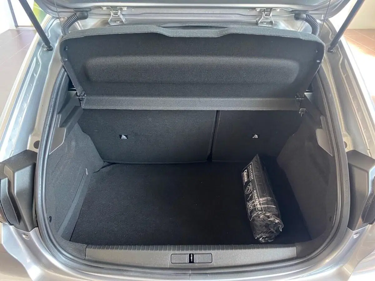Peugeot 208 usata a Torino (9)