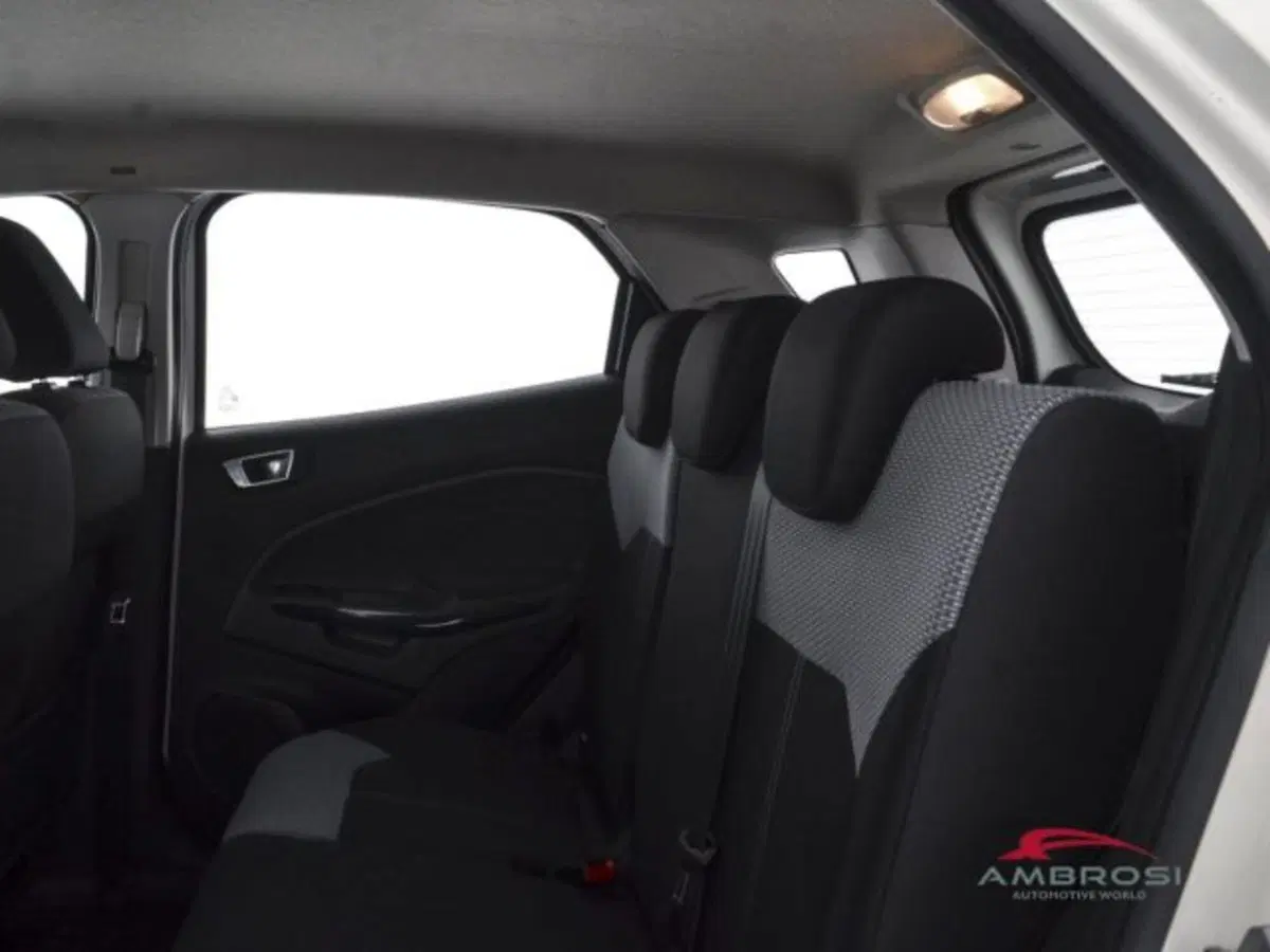 Ford EcoSport usata a Perugia (10)