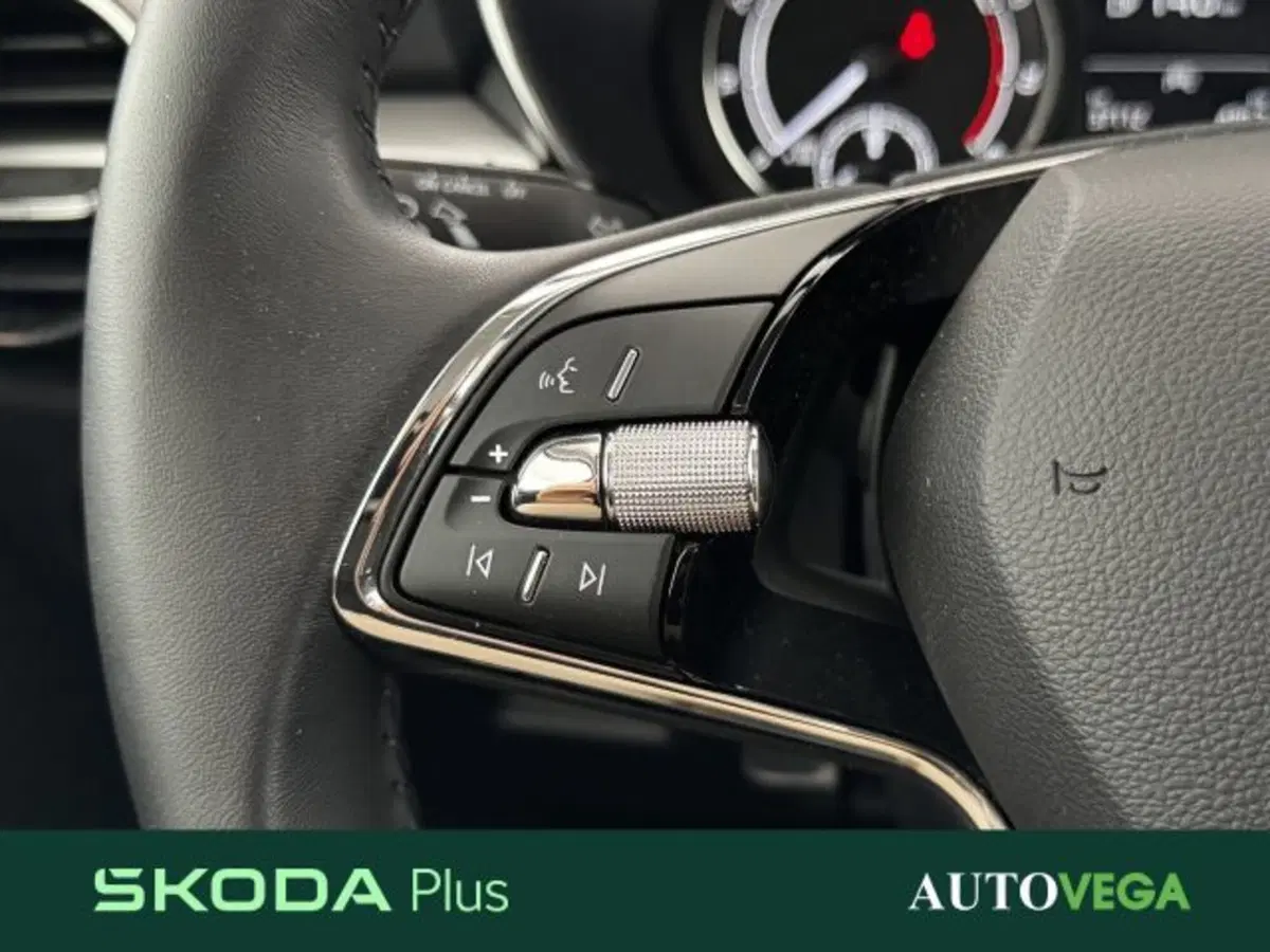 Skoda Fabia usata a Vicenza (18)