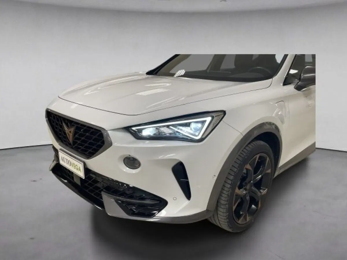 Cupra Formentor usata a Vicenza (18)