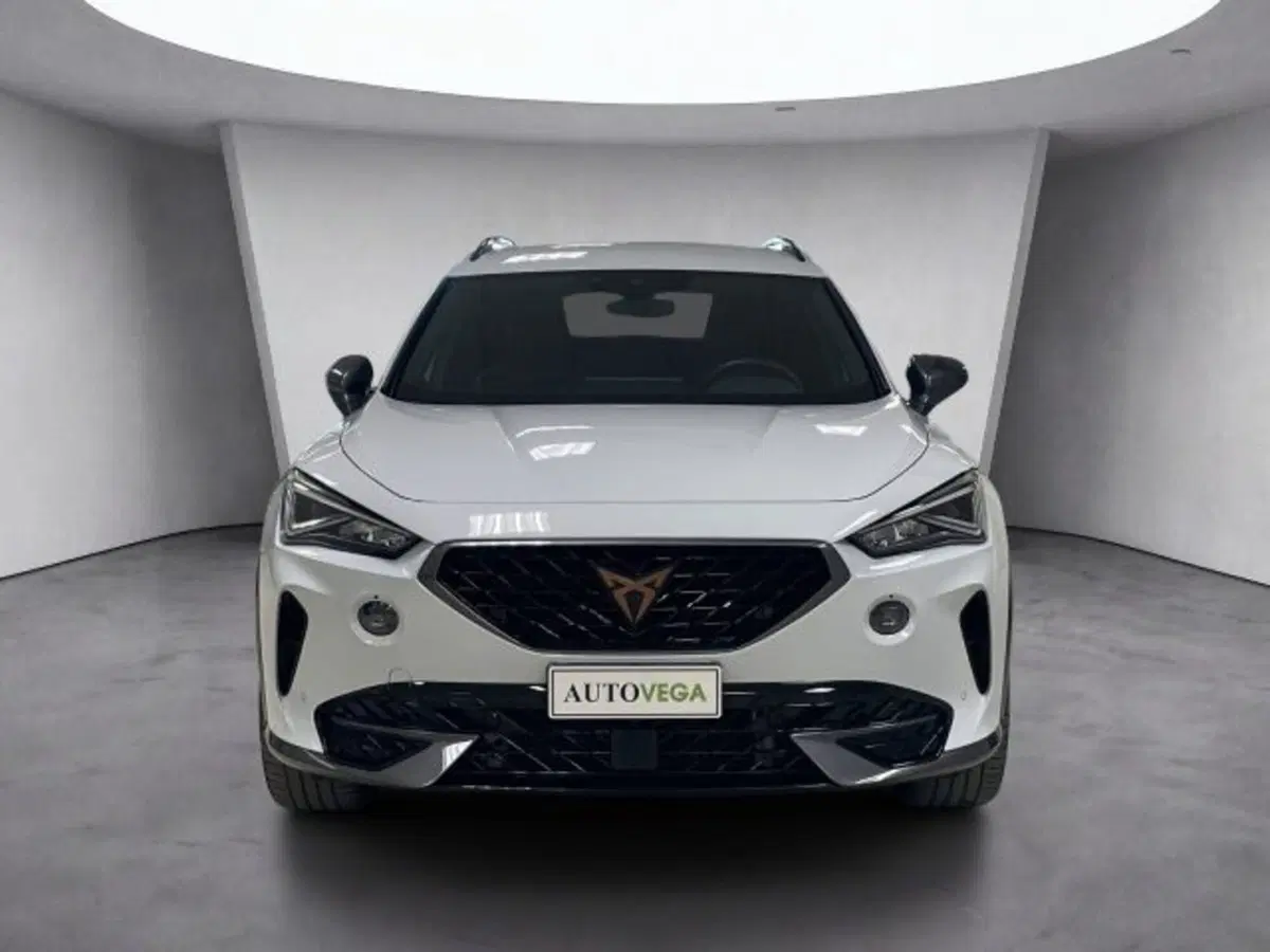 Cupra Formentor usata a Vicenza (5)