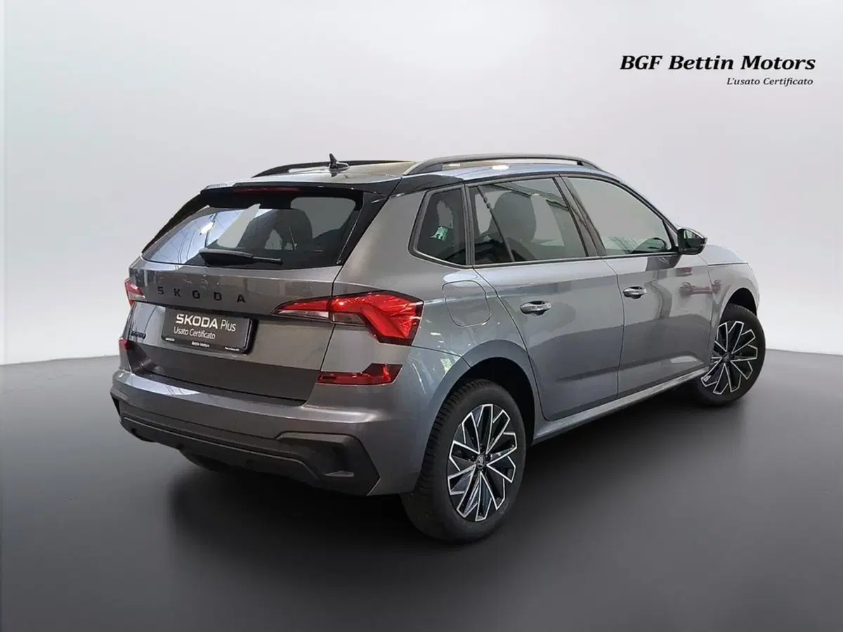 Skoda Kamiq usata a Padova (4)