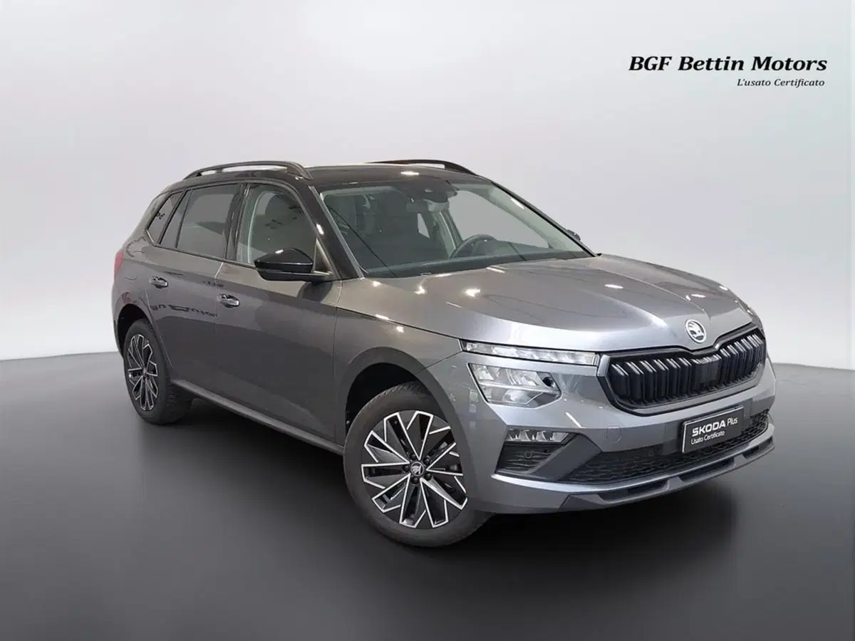Skoda Kamiq usata a Padova (6)