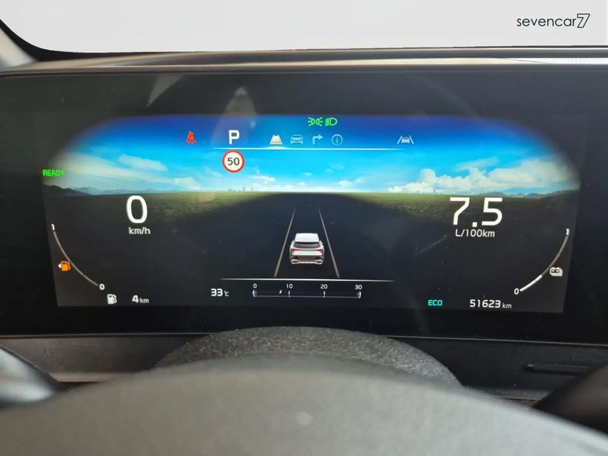 Kia Sportage usata a Verona (13)