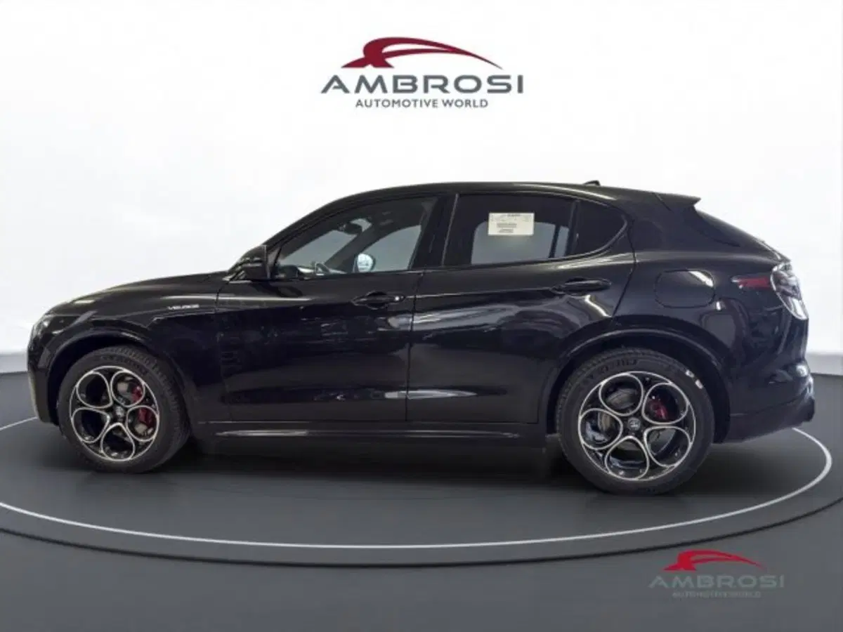 Alfa Romeo Stelvio nuova a Perugia (6)