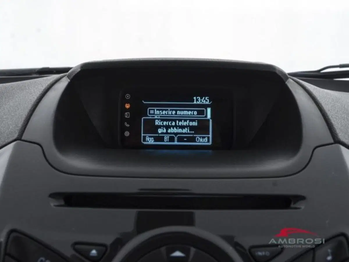 Ford EcoSport usata a Perugia (15)