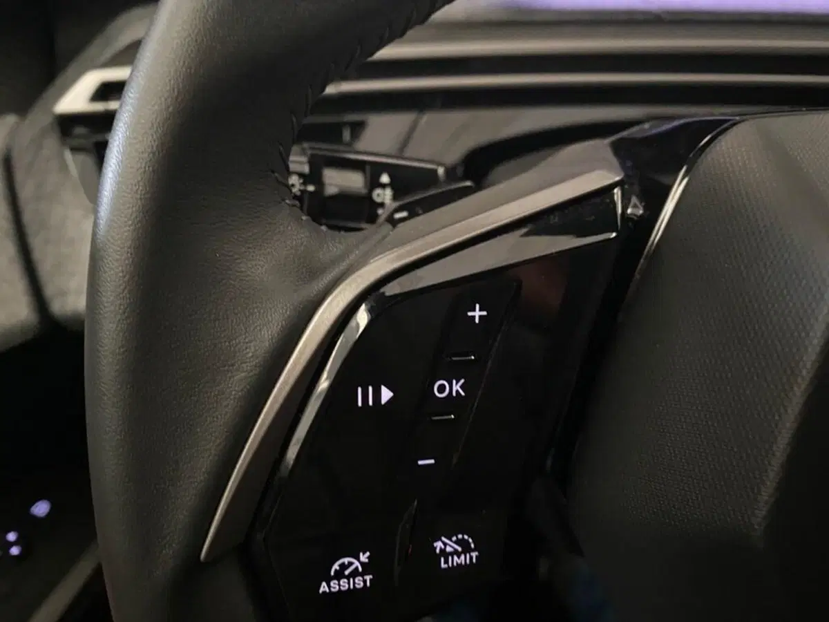 Peugeot 3008 usata a Torino (11)