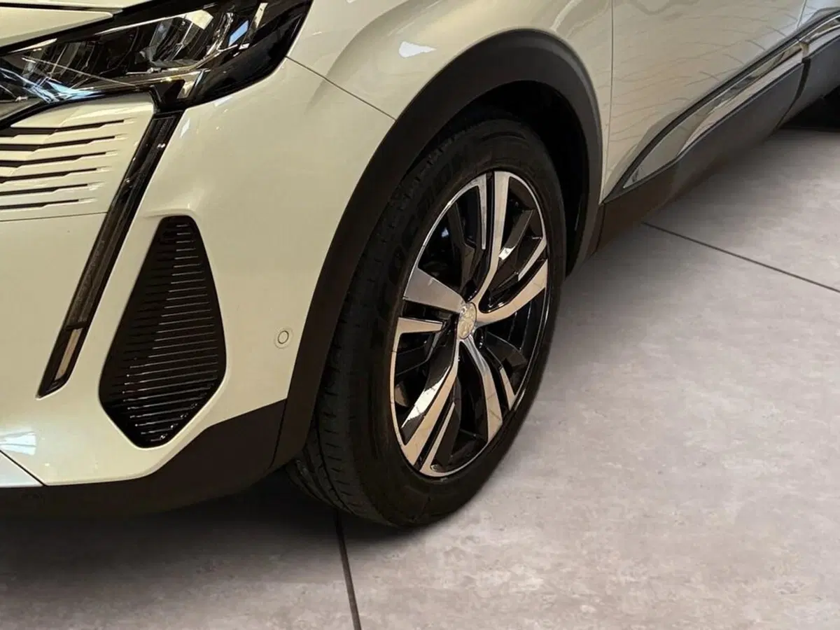 Peugeot 3008 usata a Torino (15)