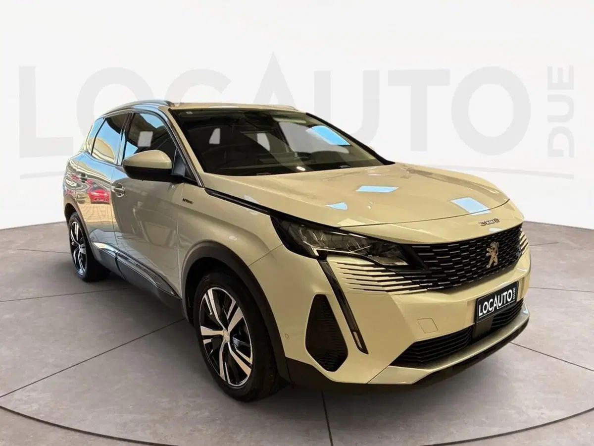 Peugeot 3008 usata a Torino (3)