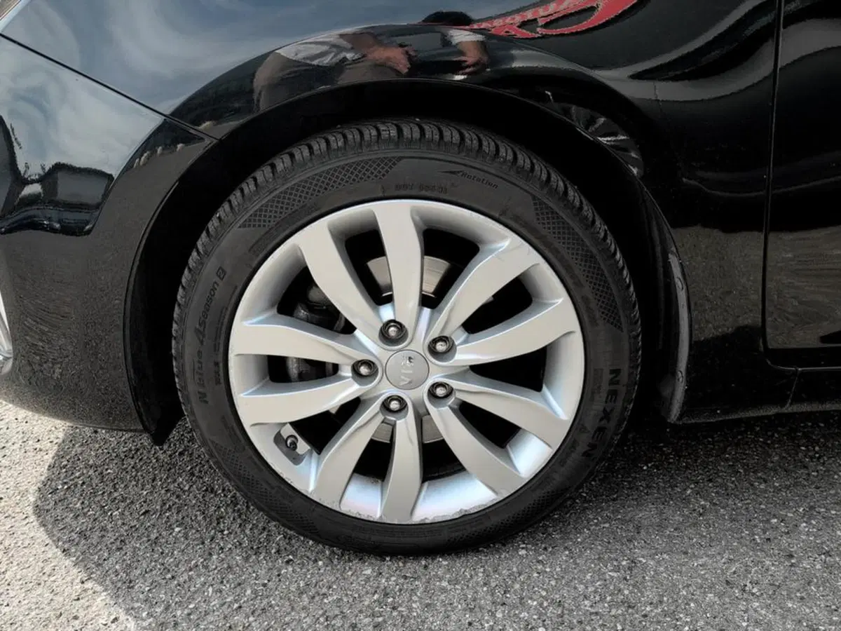 Kia Carens usata a Piacenza (13)
