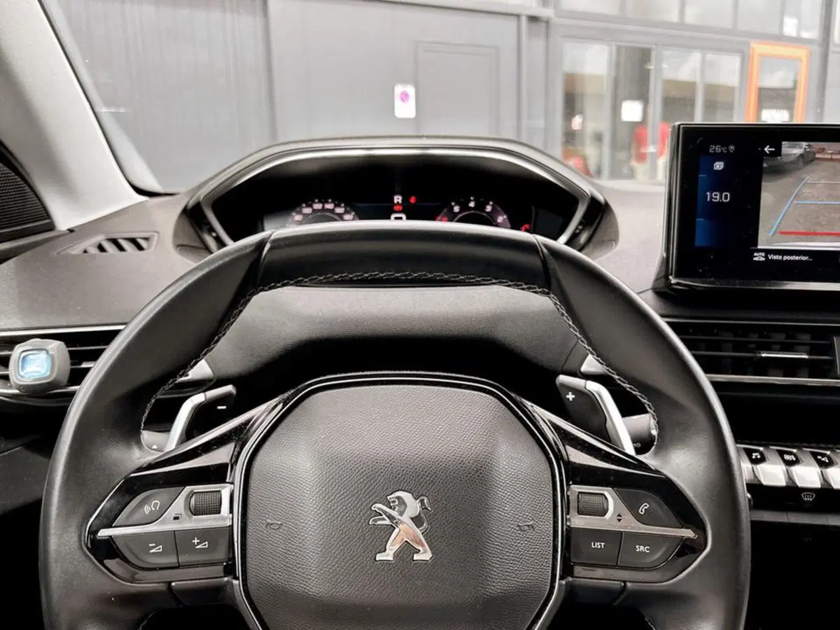 Peugeot 3008 usata a Piacenza (11)