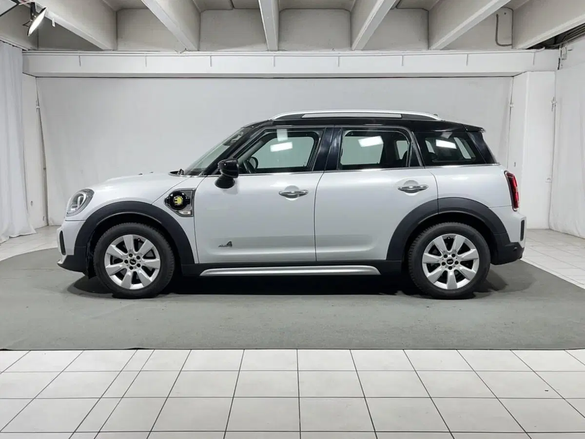 MINI Mini Countryman usata a Sondrio (2)