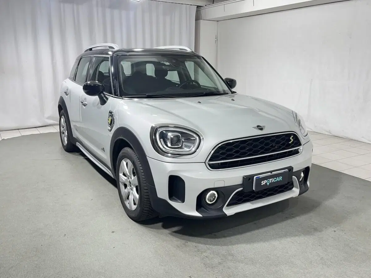 MINI Mini Countryman usata a Sondrio (7)