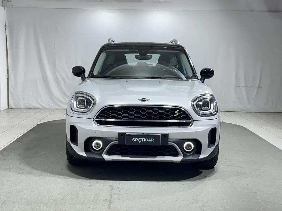 MINI Mini Countryman usata a Sondrio (8)