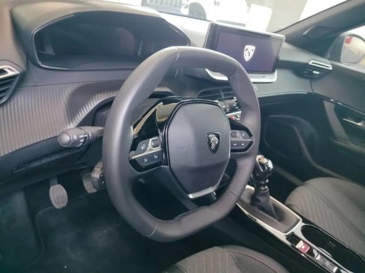 Peugeot 2008 usata a Forlì-Cesena (15)