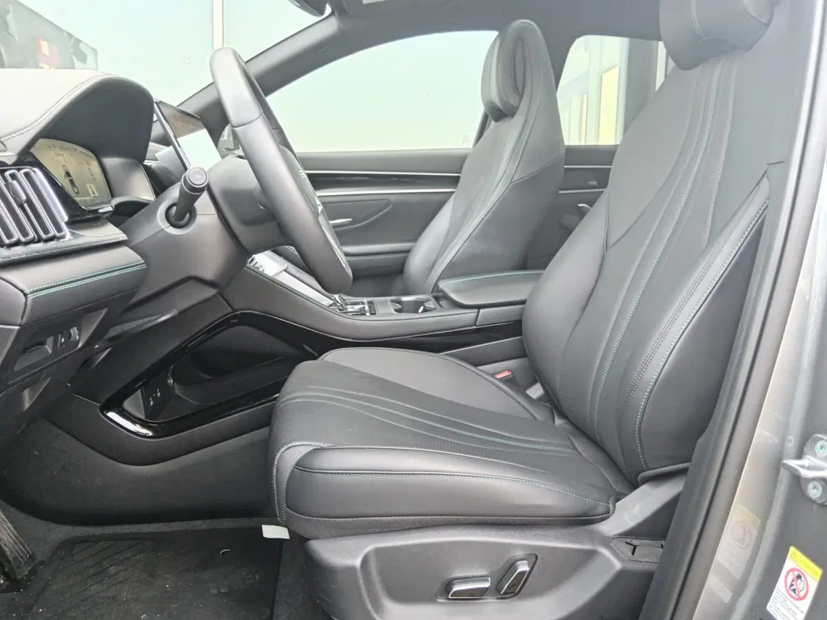 Byd Seal U DM-i  usata a Alessandria (13)