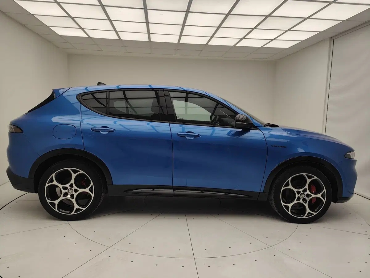 Alfa Romeo Tonale usata a Como (20)
