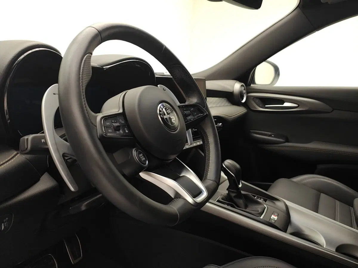 Alfa Romeo Tonale usata a Como (9)