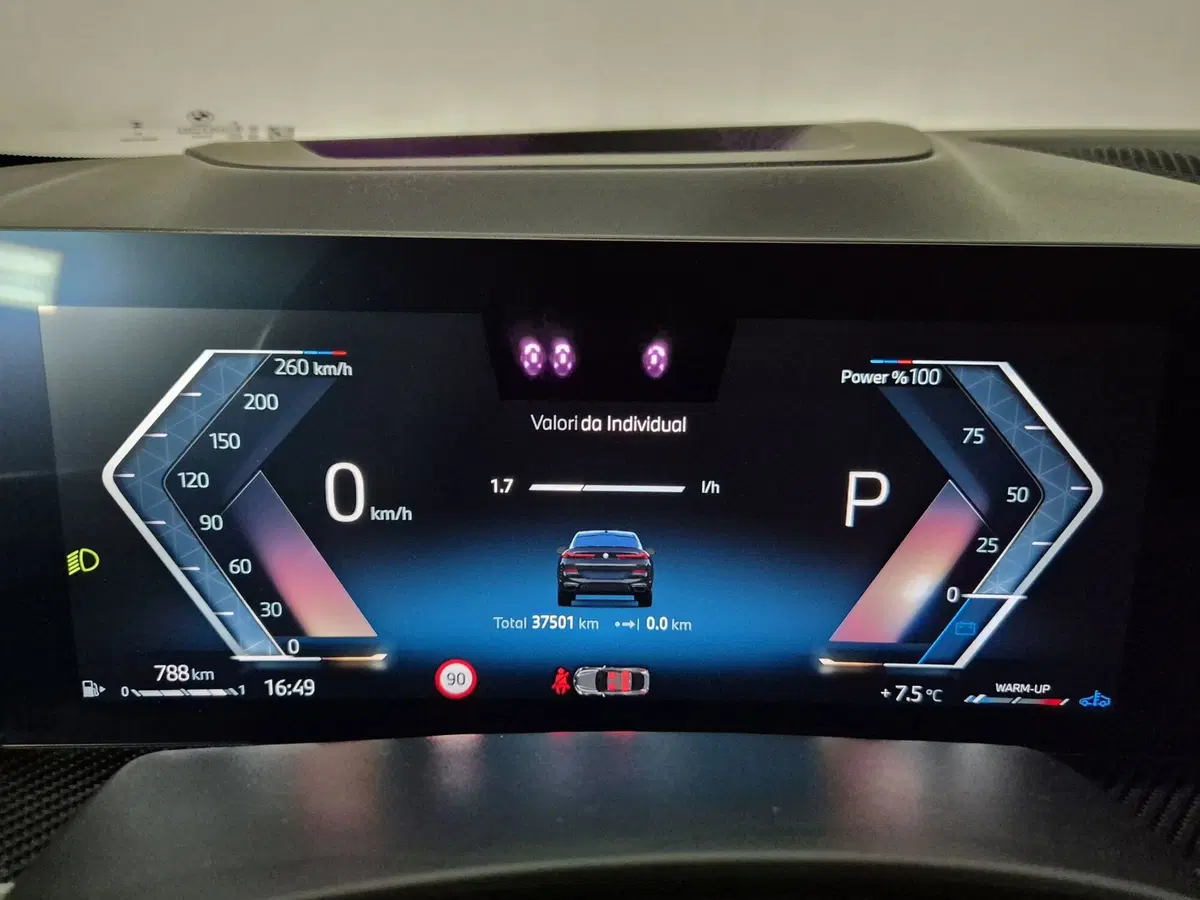 BMW X6 usata a Cuneo (15)