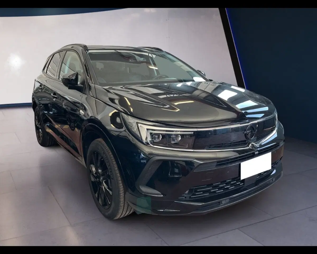 Opel Grandland usata a Torino (8)
