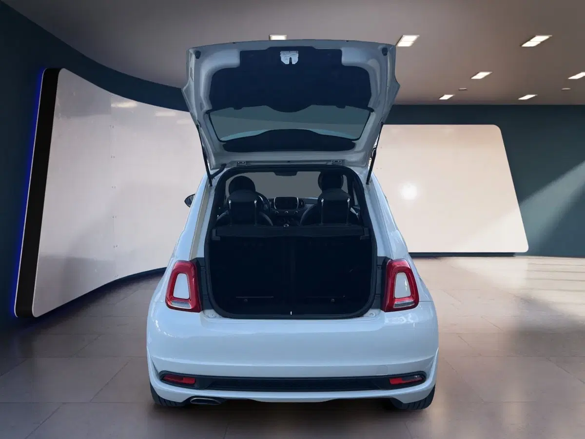 Fiat 500 usata a Torino (8)