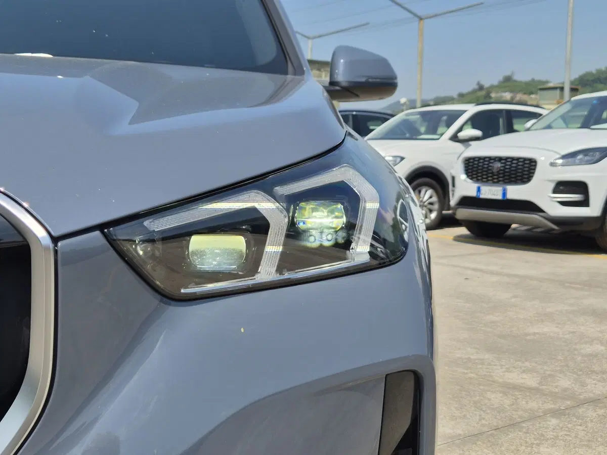 BMW X1 usata  (18)