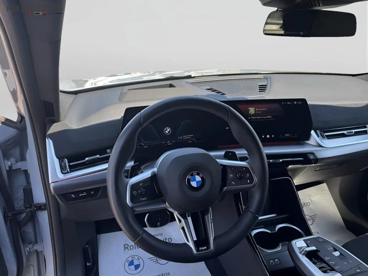 BMW X2 usata a Alessandria (12)