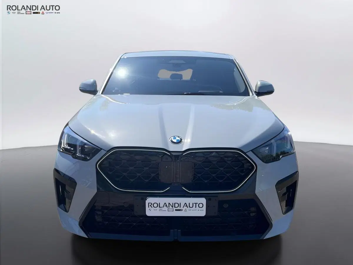 BMW X2 usata a Alessandria (6)