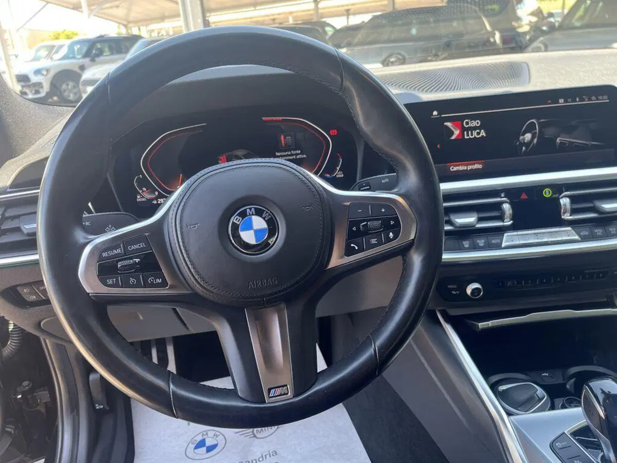 BMW Serie 3 usata a Alessandria (11)