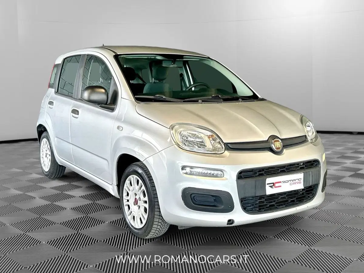 Fiat Panda usata a Monza e Brianza