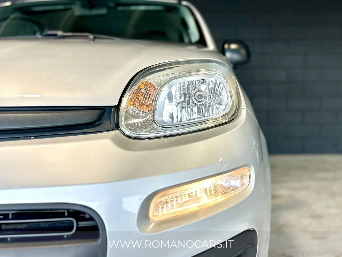 Fiat Panda usata a Monza e Brianza (4)