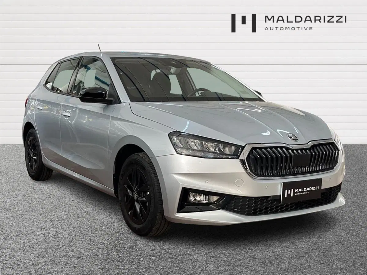 Skoda Fabia usata a Foggia