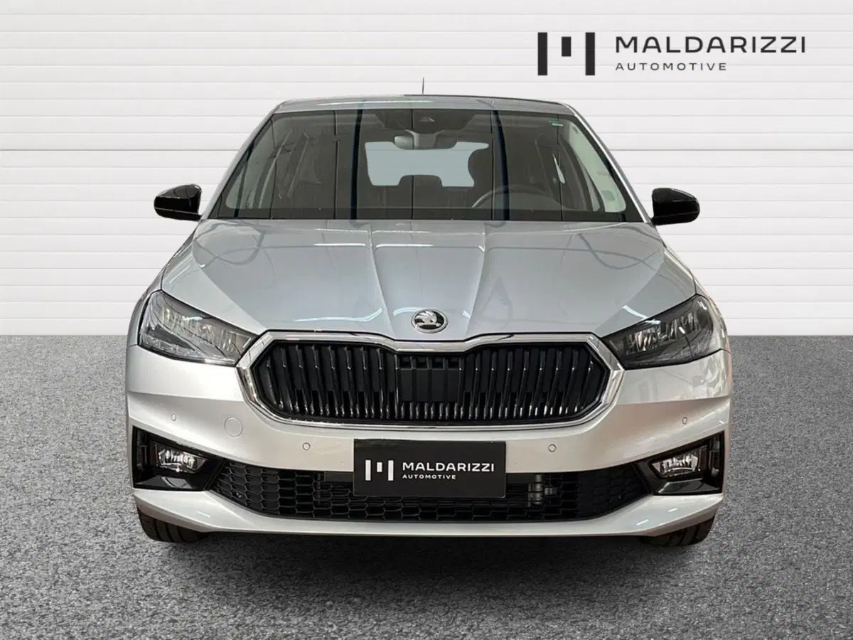 Skoda Fabia usata a Foggia (2)