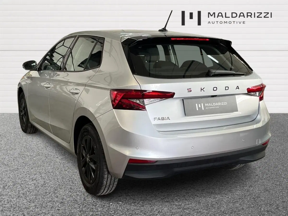 Skoda Fabia usata a Foggia (4)