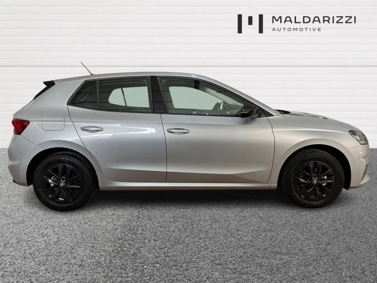 Skoda Fabia usata a Foggia (5)