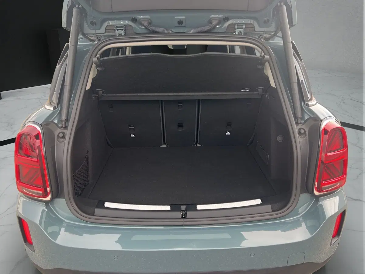 MINI Mini Countryman usata a Cosenza (20)