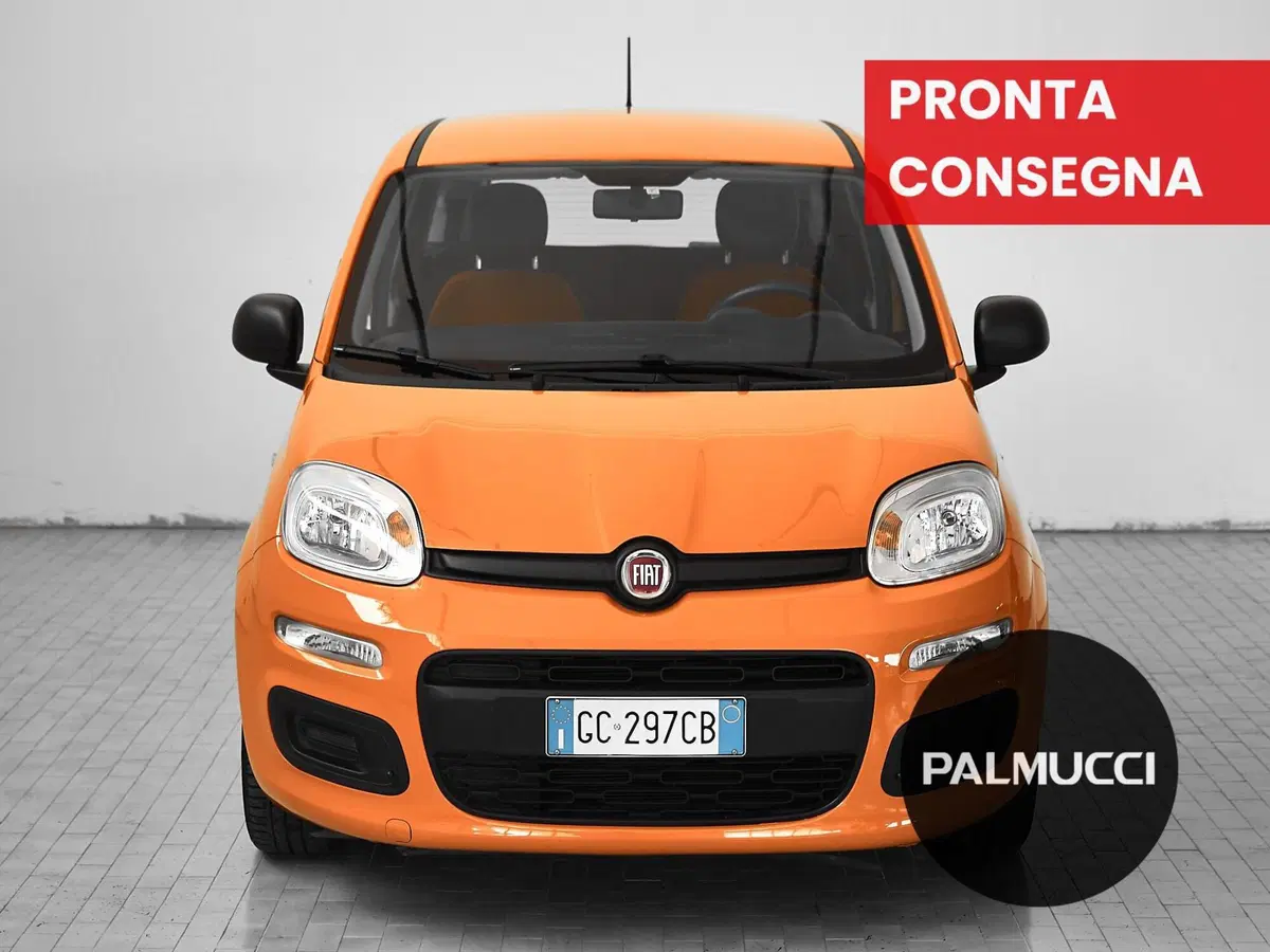 Fiat Panda usata a Prato (2)
