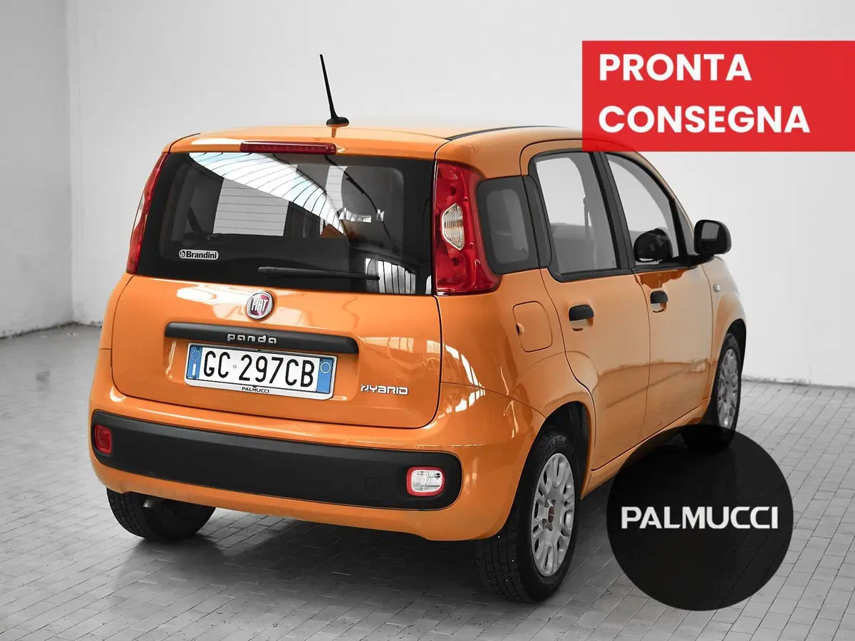 Fiat Panda usata a Prato (3)