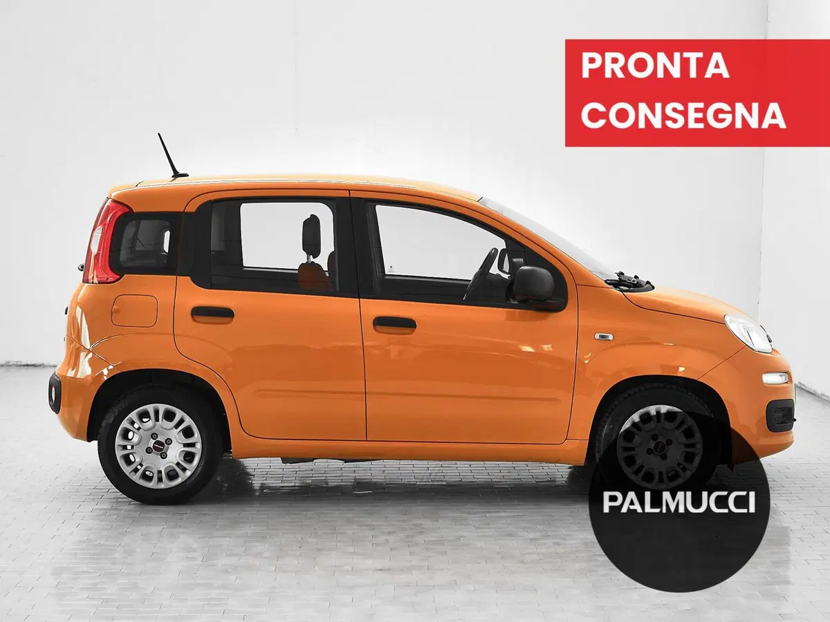 Fiat Panda usata a Prato (4)